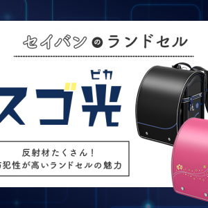 4万円で買えるフィットちゃん201は機能的に問題ないの？口コミをチェック！